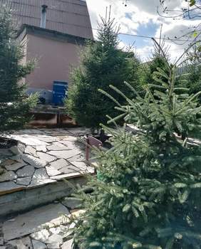 Дача 35м², 1-этажный, участок 5 сот.  