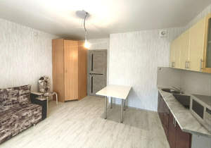 Студия квартира, на длительный срок, 25м2, 7/10 этаж