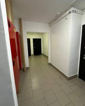 Студия квартира, на длительный срок, 24м2, 5/16 этаж