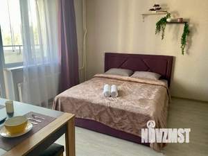 Студия квартира, посуточно, 24м2, 5/10 этаж