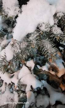 2-к квартира, на длительный срок, 82м2, 8/10 этаж