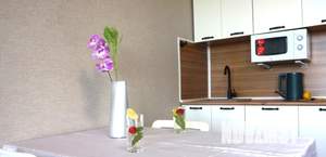 Студия квартира, посуточно, 30м2, 8/24 этаж