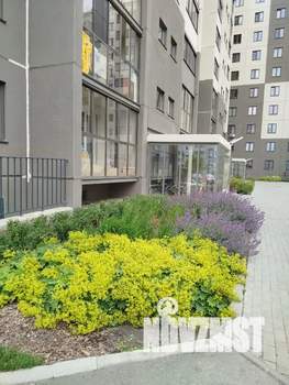 Студия квартира, посуточно, 16м2, 1/10 этаж