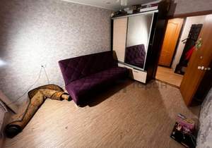 2-к квартира, на длительный срок, 50м2, 4/9 этаж