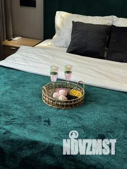 Студия квартира, посуточно, 24м2, 12/19 этаж