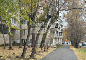 1-к квартира, на длительный срок, 32м2, 1/5 этаж