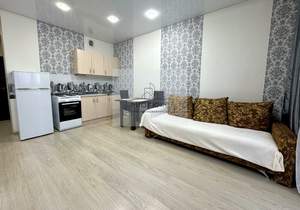 Студия квартира, на длительный срок, 25м2, 7/19 этаж