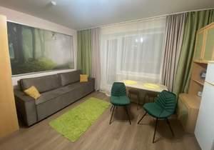 Студия квартира, на длительный срок, 30м2, 8/20 этаж