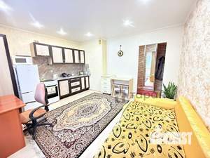 Студия квартира, на длительный срок, 24м2, 7/18 этаж