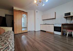 Студия квартира, на длительный срок, 25м2, 4/19 этаж