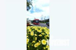 2-к квартира, посуточно, 50м2, 2/5 этаж