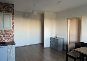 1-к квартира, на длительный срок, 40м2, 7/11 этаж