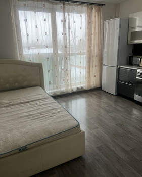 Студия квартира, на длительный срок, 24м2, 3/10 этаж