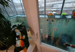 2-к квартира, на длительный срок, 47м2, 2/5 этаж