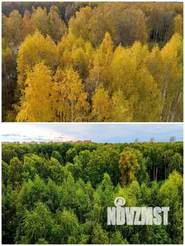 1-к квартира, на длительный срок, 32м2, 10/11 этаж