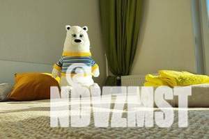 1-к квартира, посуточно, 25м2, 9/10 этаж