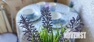 2-к квартира, посуточно, 50м2, 1/1 этаж