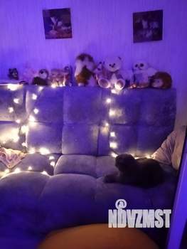 Студия квартира, на длительный срок, 24м2, 10/10 этаж