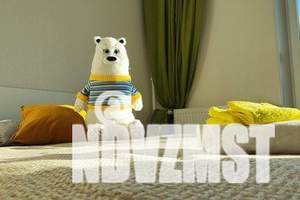 1-к квартира, посуточно, 25м2, 9/10 этаж