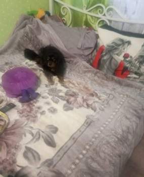 1-к квартира, на длительный срок, 40м2, 3/10 этаж