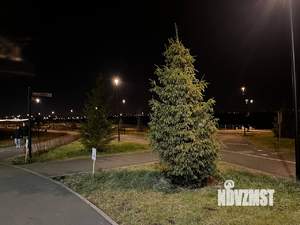 Студия квартира, на длительный срок, 24м2, 1/10 этаж