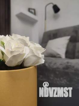 Студия квартира, посуточно, 40м2, 2/10 этаж