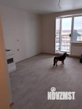 Студия квартира, на длительный срок, 25м2, 4/11 этаж