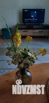 1-к квартира, посуточно, 24м2, 1/1 этаж