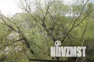 1-к квартира, на длительный срок, 23м2, 4/5 этаж