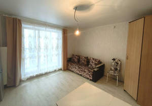 Студия квартира, на длительный срок, 25м2, 7/10 этаж