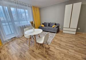 Студия квартира, на длительный срок, 25м2, 16/20 этаж
