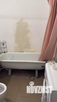Студия квартира, на длительный срок, 24м2, 10/10 этаж
