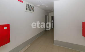 Студия квартира, на длительный срок, 25м2, 5/19 этаж