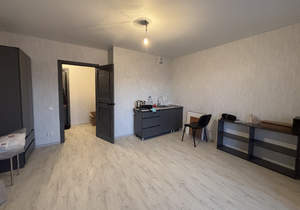 1-к квартира, на длительный срок, 26м2, 10/10 этаж