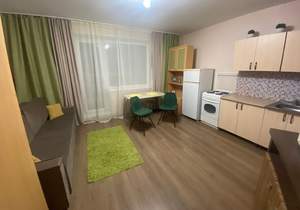 Студия квартира, на длительный срок, 30м2, 8/20 этаж