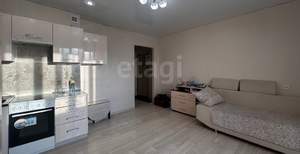 Студия квартира, на длительный срок, 24м2, 11/21 этаж