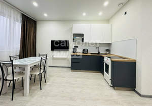 1-к квартира, на длительный срок, 48м2, 16/16 этаж