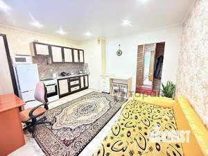 Студия квартира, на длительный срок, 24м2, 7/18 этаж