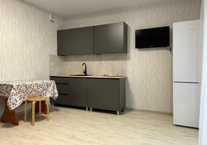 Студия квартира, на длительный срок, 24м2, 9/10 этаж