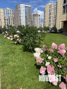 3-к квартира, вторичка, 64м2, 16/16 этаж