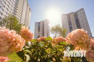 1-к квартира, вторичка, 33м2, 5/23 этаж