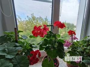 2-к квартира, вторичка, 59м2, 3/3 этаж