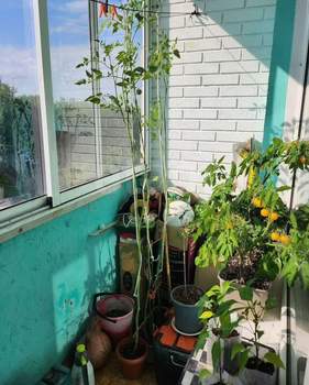 2-к квартира, вторичка, 49м2, 5/9 этаж