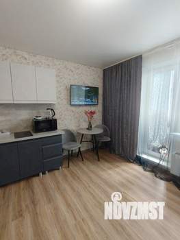 Студия квартира, вторичка, 24м2, 17/17 этаж