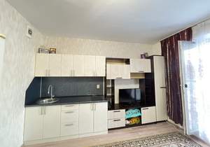 Студия квартира, вторичка, 24м2, 9/17 этаж