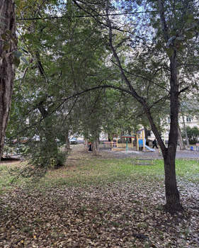 2-к квартира, вторичка, 51м2, 1/2 этаж