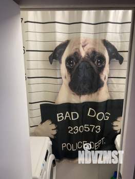 1-к квартира, вторичка, 33м2, 1/9 этаж