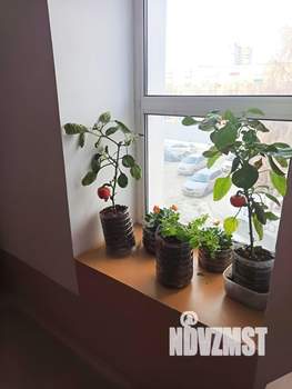 3-к квартира, вторичка, 117м2, 3/5 этаж