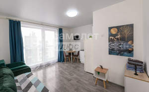 Студия квартира, вторичка, 24м2, 10/10 этаж