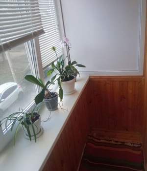 2-к квартира, вторичка, 52м2, 2/10 этаж